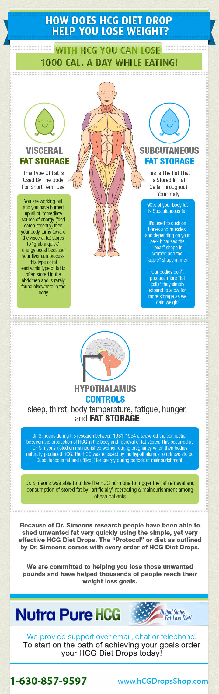 How HCG Helps Reducing Weight -Infographic