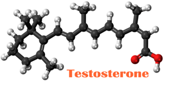 testosterone