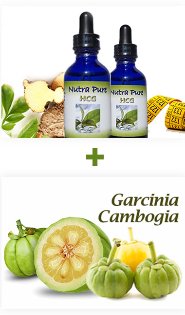 hCG Comparison