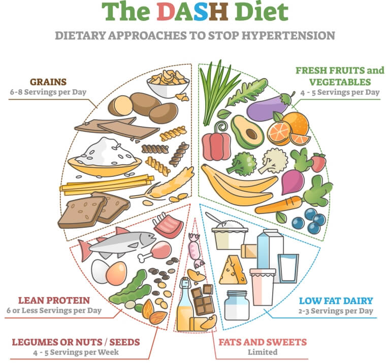 The DASH food diet as dietary approach to stop hypertension outline diagram