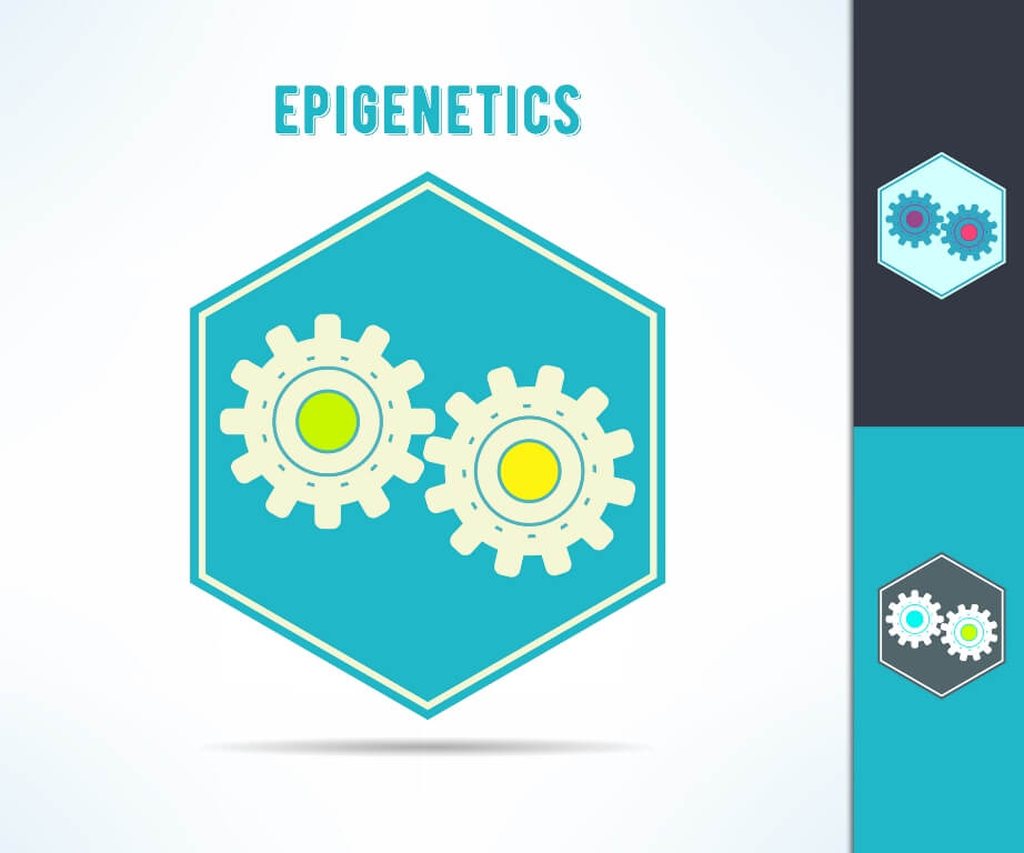 dna epigenetics mechanism symbol