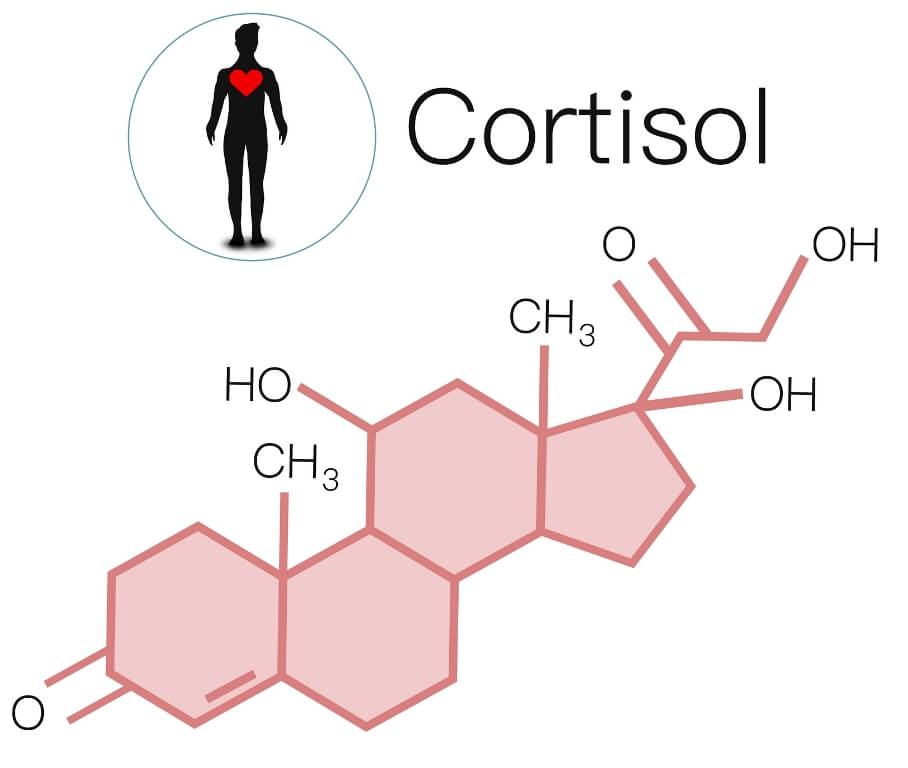 Stress hormones Cortisol